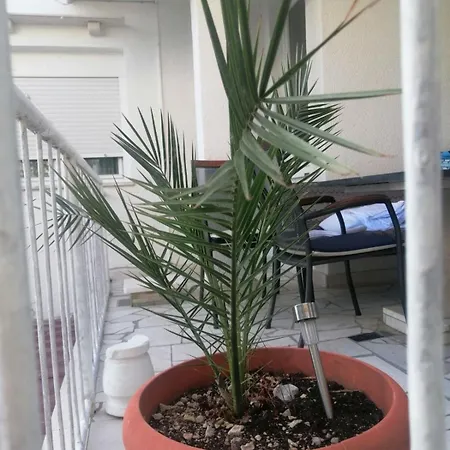 Rako ゲストハウス