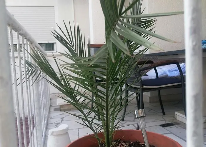 Rako Гостевой дом